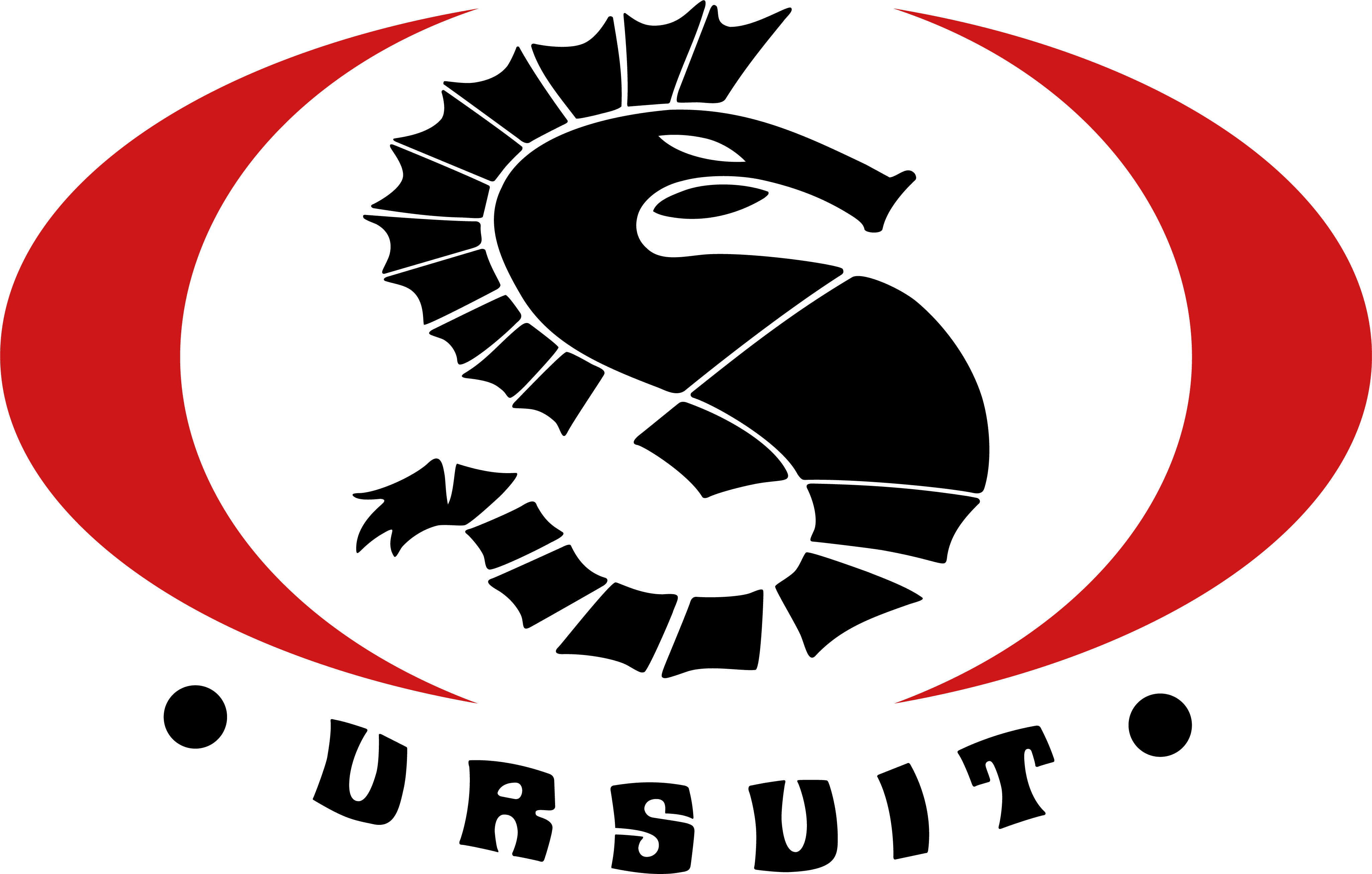Ursuit Logo